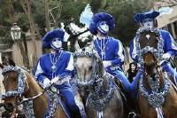 Il Carnevale II: Le Maschere e le Battaglie